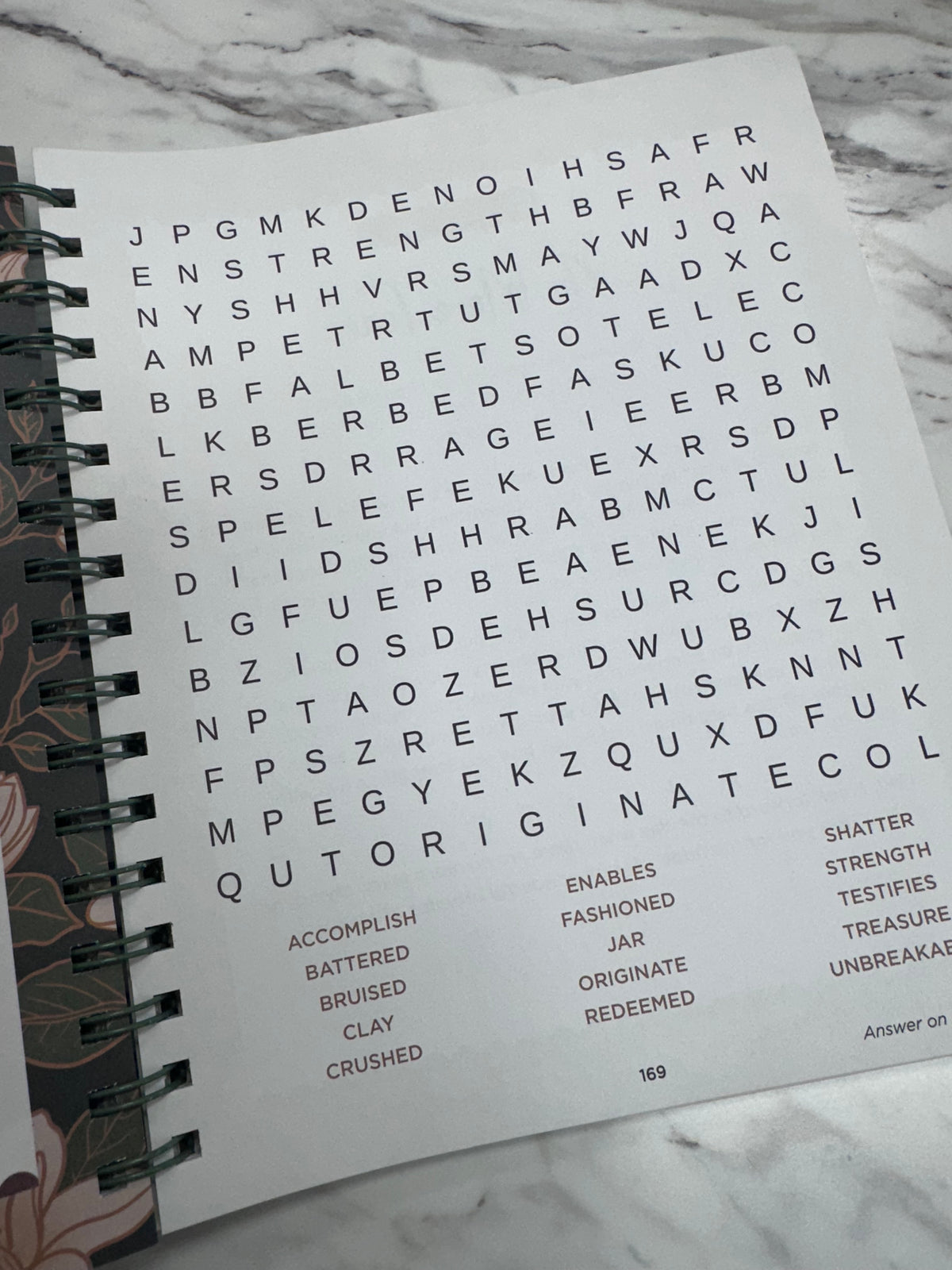 Bible Word Search Devotional Large Print