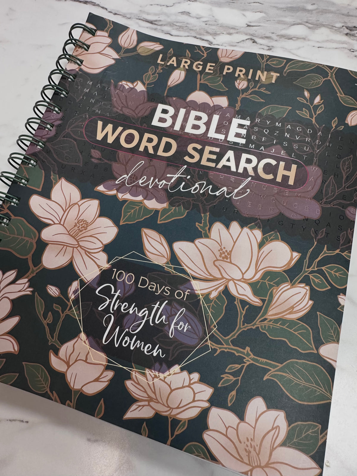 Bible Word Search Devotional Large Print